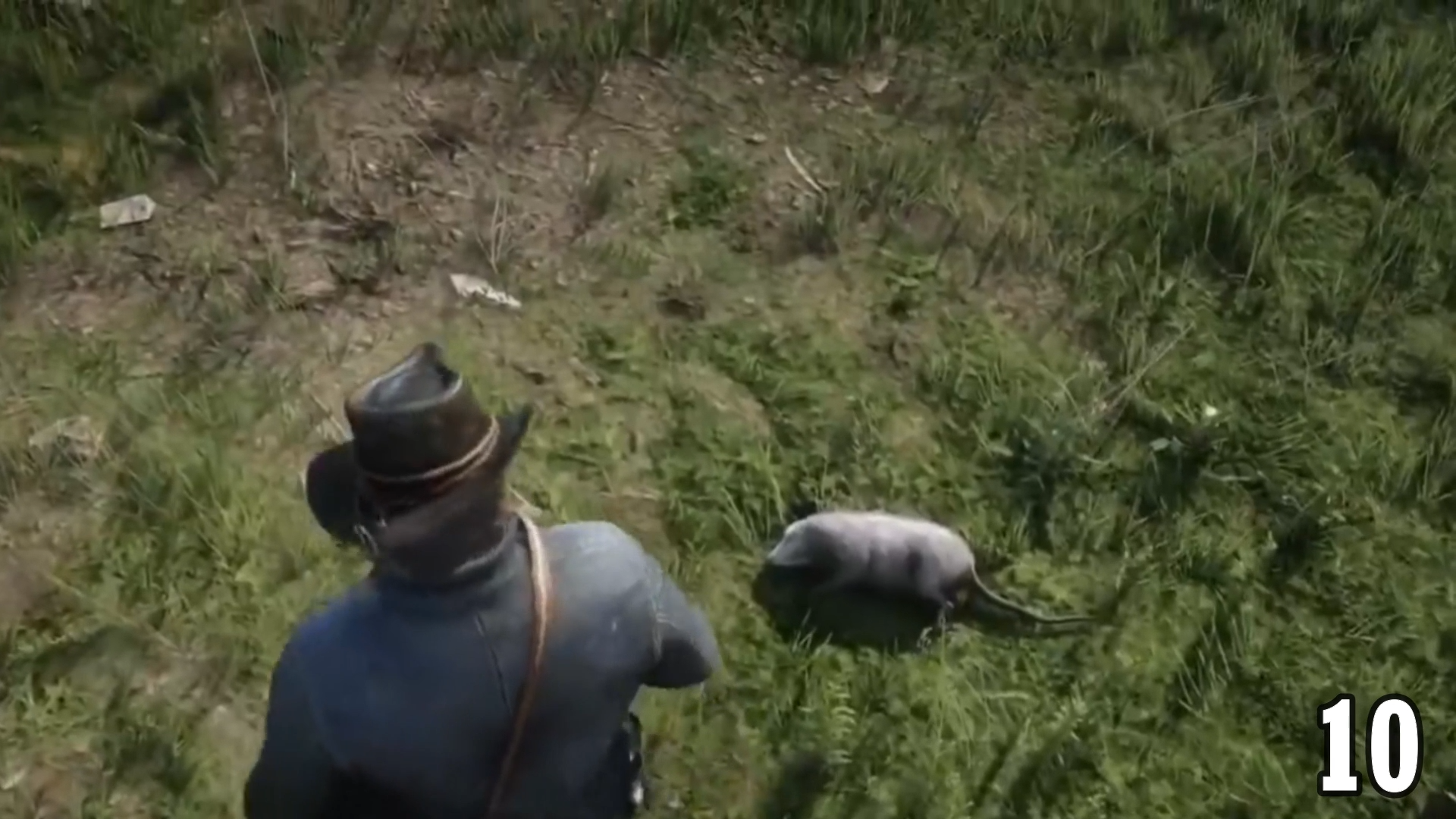 animales en Red Dead Redemption 2